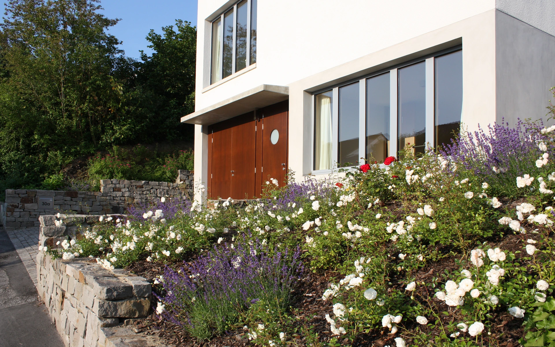 Neubau Haus R in Velbert-Langenberg Ansicht über den Vorgarten von der Straße mit Putzfassade, Sichtbetonelementen sowie Pflaster und Bruchsteinmauern aus Ruhrsandstein.
