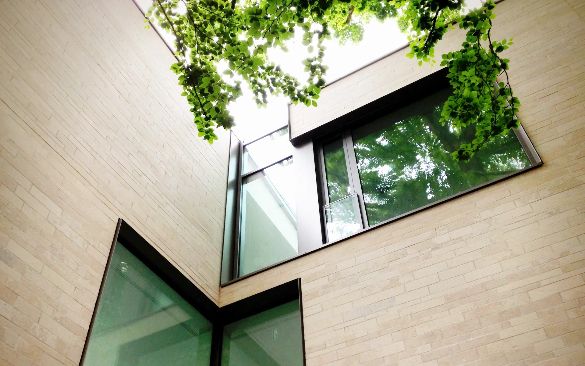 Neubau Einfamilienhaus S in Essen mit einer Detailansicht der Fassade, Innenecke, raumhohen Fenstern, mit Baum im Vordergrund.